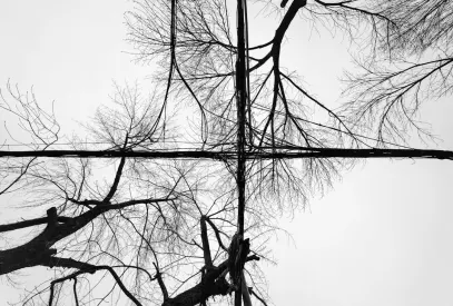 Billion Casino Aplicación móvil